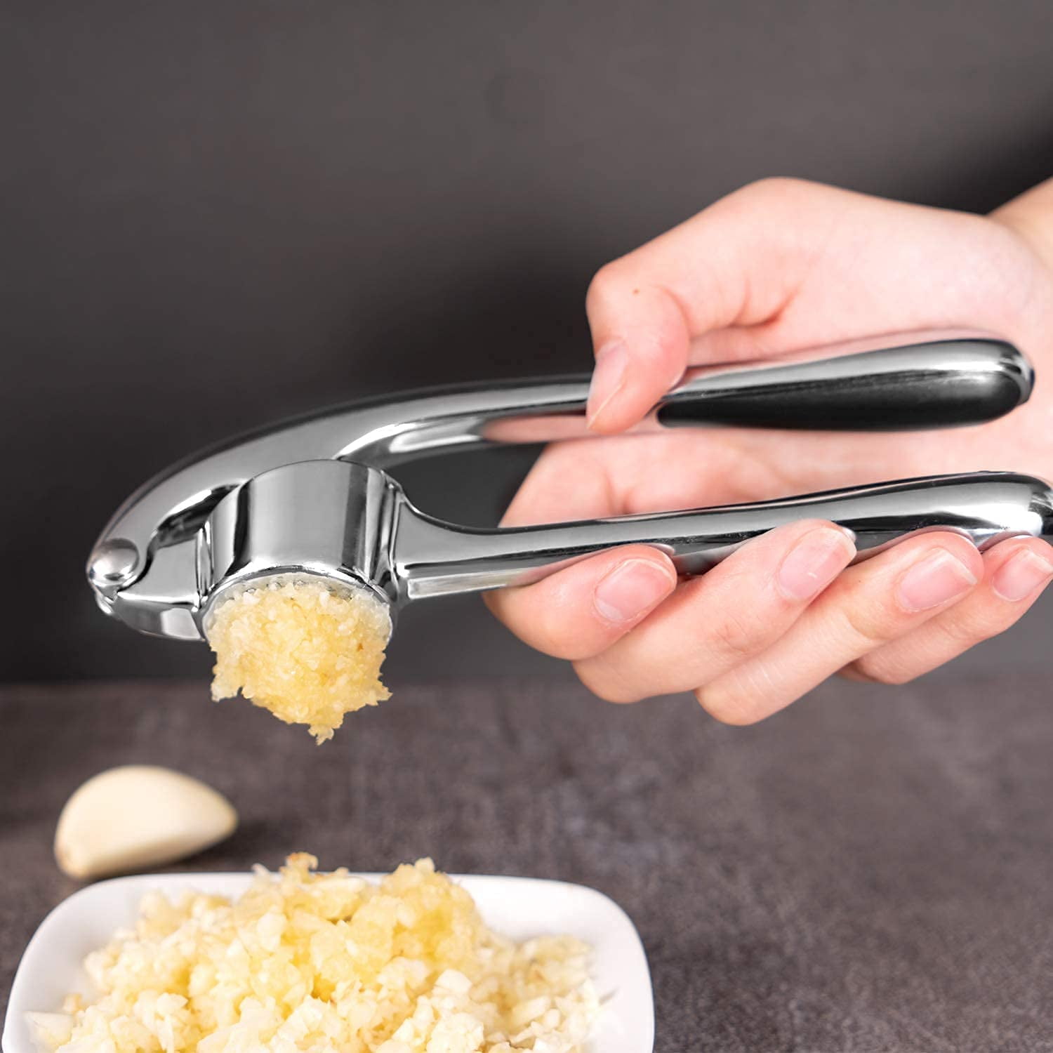 Eummy Garlic Press 2 in 1 Manual Garlic Crusher with Non-slip Handle  Multifunctional Garlic Cutter with Cleaning Brush and Peeling Tube Garlic  Slicer