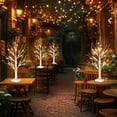 thumbnail image 4 of Lighted Birch Tree for Christmas Decorations FT Artificial Tree Battery Operated and USB Tabletop Tree Christmas Decor for Home Decor, 4 of 9