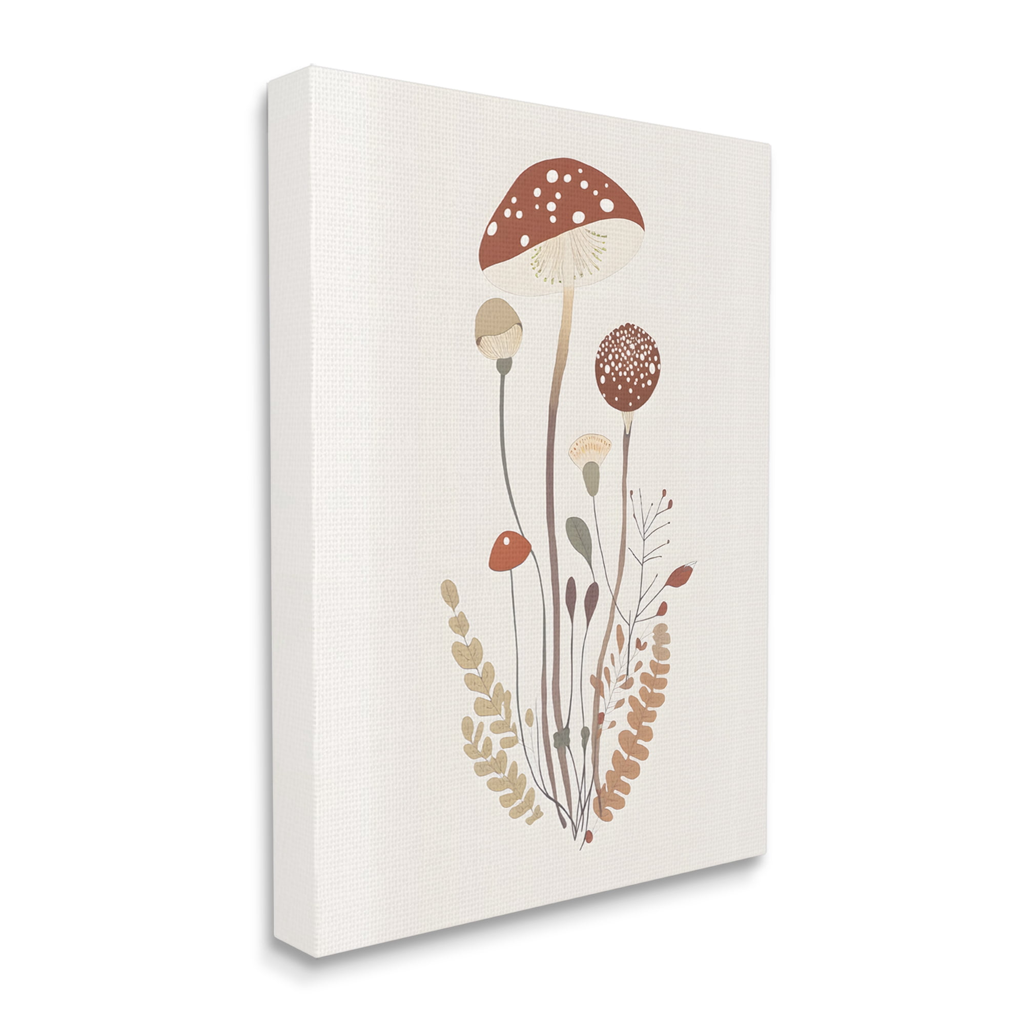 Stupell Industries Mushrooms & Fern Sprigs Botanical & Floral Painting Gallery Wrapped Canvas Art Print Wall Art, 16 x 20