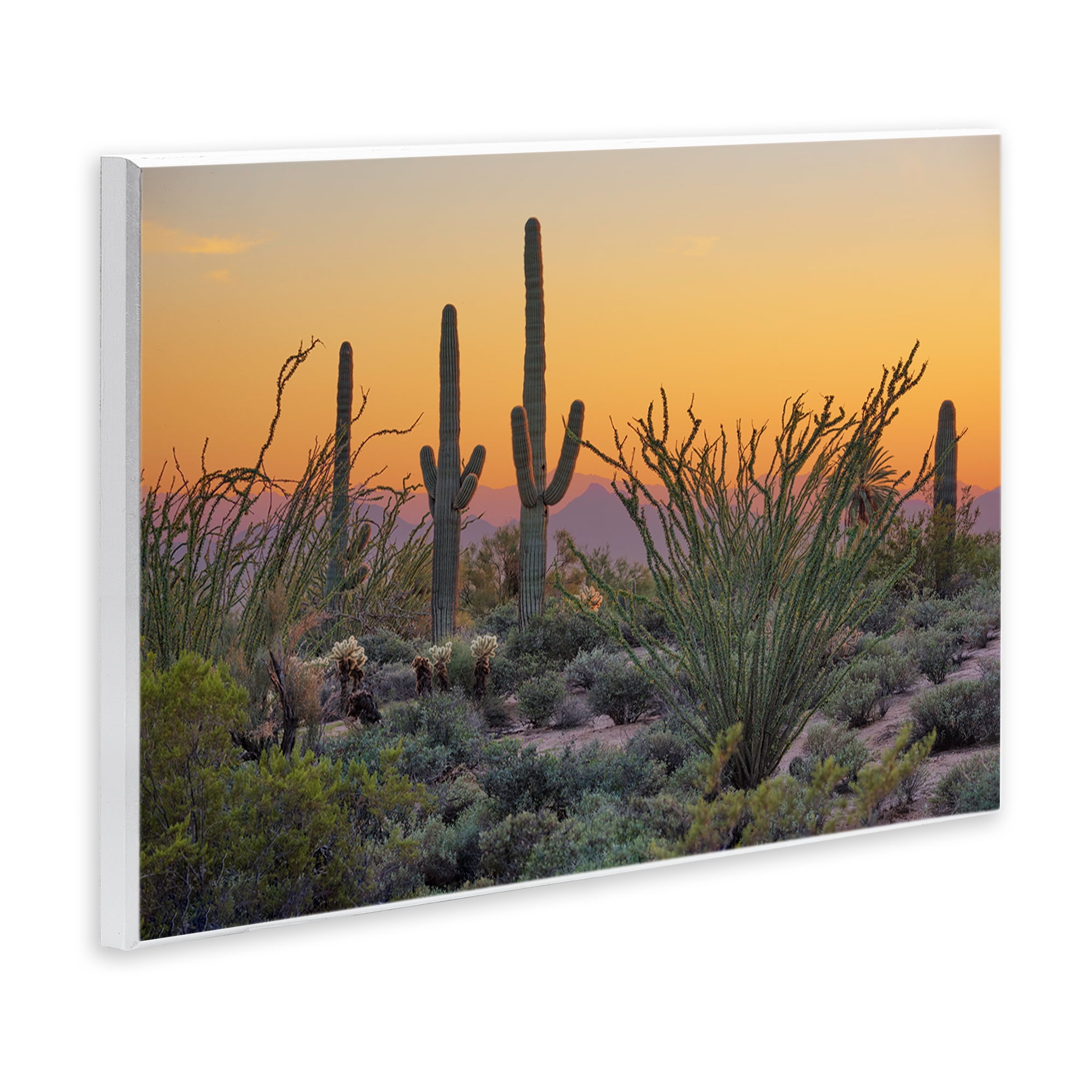 Stupell Industries Sunset Desertscape Cacti Landscape & Nature Photography Unframed Art Print Wall Art, 15 x 10