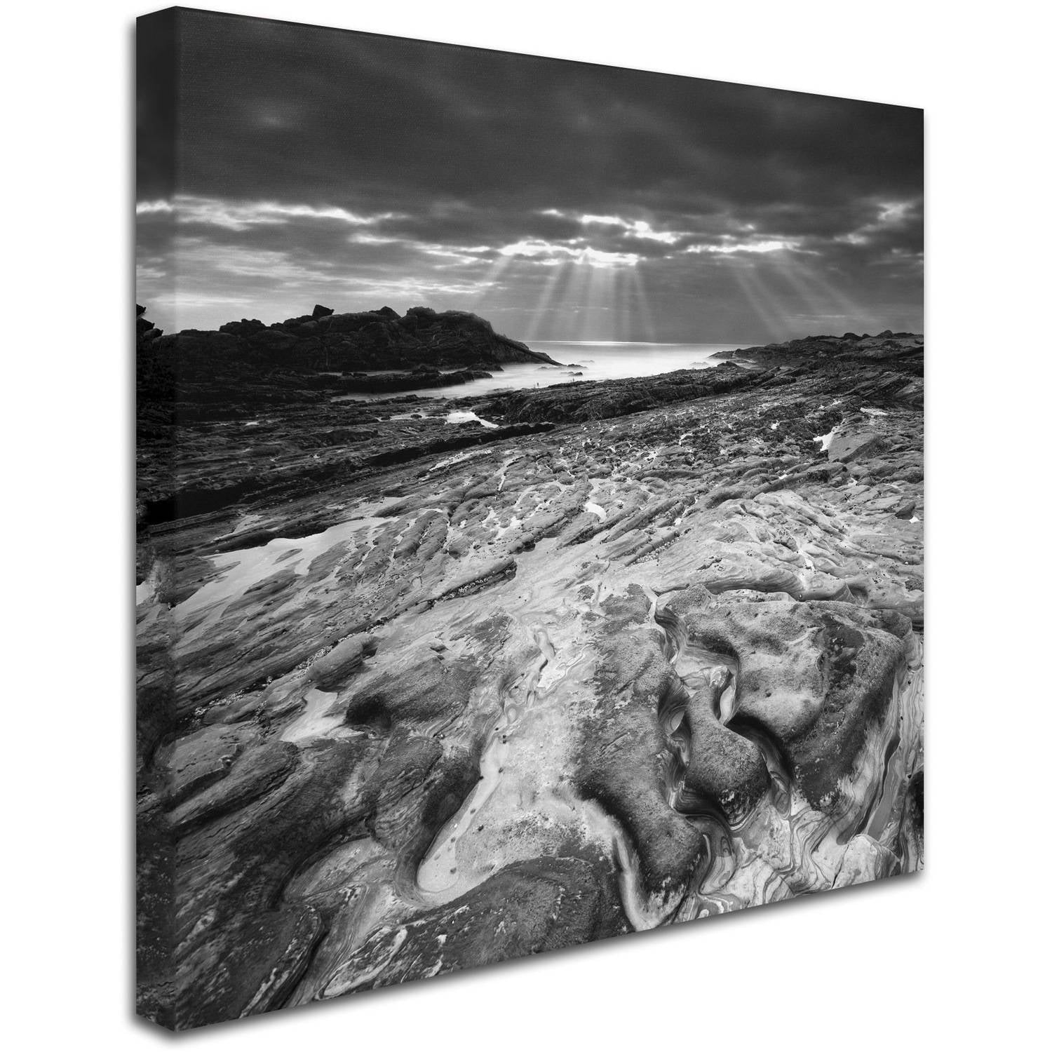 Trademark Fine Art "Sunset at Point Lobos" Canvas Art by Moises Levy