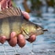 thumbnail image 2 of 10 señuelos de pesca de 75 mm y 6 g con anzuelos de cabeza de plantilla., 2 of 7