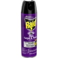 Raid Flea Killer Plus Carpet And Room Spray 16 Oz, 3 Pack