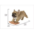 thumbnail image 5 of Bouledogue Français Lavage du Sol, 5 of 5