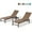 Brown, variant on Pellebant Set of 2 Outdoor Chaise Lounge Chair – Foldable, 6-Position Adjustable Recliner for Patio, Beach, Pool & Yard (Dark Black)
