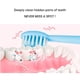 thumbnail image 4 of Cepillo de dientes eléctrico sónico portátil, recargable por USB, resistente al agua, cabezales de repuesto para cepillos de dientes blanqueadores ultrasónicos electrónicos, 4 of 5
