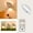 D, variant on Leaf Sensor Night Light with Magnetic Adhesive Remote Control Body Sensor Wireless LED Bedside Lamp Wall Light for Bedroom