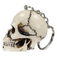 thumbnail image 3 of Pack of 12 Novelty Bone Colored Jointed Homosapien Cranium Skulls Keychains, 3 of 10