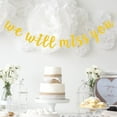 thumbnail image 5 of Golden Glitter Banner WE WILL MISS YOU Letter Printing Bunting Bachelor Party Flag Retirement Party Hanging Garland Decoration Layout Supplies, 5 of 6