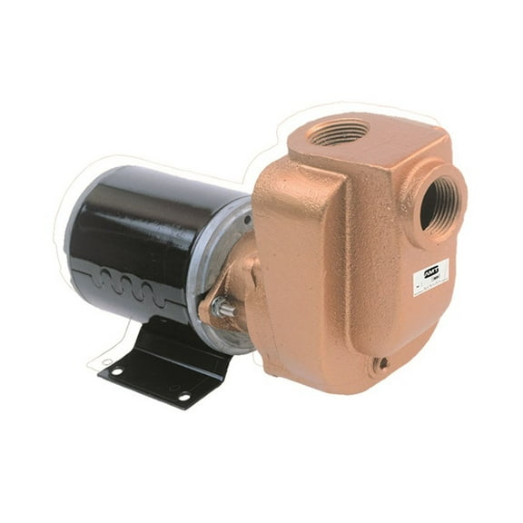 AMT QSP-4851-97 Self-Priming Marine Centrifugal Pump, 12 VDC
