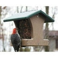 thumbnail image 6 of Birds Choice 8.75" Small Recycled Plastic Hanging Hopper 2-Sided Bird Feeder, Taupe/Green, 6 of 6
