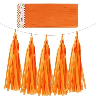 Colorful Tissue Paper Tassel Garland, Bunting Wedding Birthday Party Decoration, Baby Shower Backdrop, DIY Fringe Banner, Hanging Paper Decor, Party Supplies