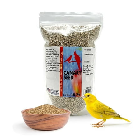 Morning Bird Canary Seed – Nutritional Rich in Vitamins and Supplements for Birds – Ideal for Healthy Feathers and Strong Bones Seed for All Birds Type 1.5 lbs