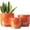 Orange, variant on Pink Indoor Plant Pots for Plants, Large Ceramic Planter with Drainage Hole, 9.6-inch Succulent Orchid Flower Pot - Rainbow Pearl Glaze