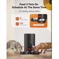 thumbnail image 2 of Comedero automático para gatos WOPET 2024 para 2 gatos con cuenco de acero inoxidable, 2 of 6