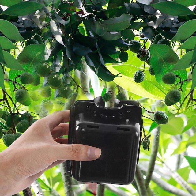 Dispositivo de enraizamiento de plantas, caja de propagación de enraizamiento de cortes de alta presión de 3 piezas XianweiShao 8390614938939