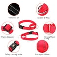 thumbnail image 3 of Plutus Pet Reflective Martingale Collar with Quick Snap Buckle, 3 of 7