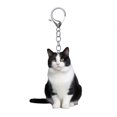 thumbnail image 1 of Visland Cartoon Cat Shape Keychain 2D Acrylic Cat Charm Keyring Keys Parties Versatile Keychain Bag Charm Accessory, 1 of 8