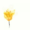 thumbnail image 3 of Vess, June Erica 15x15 Black Modern Framed Museum Art Print Titled - Expressive Blooms VIII, 3 of 5