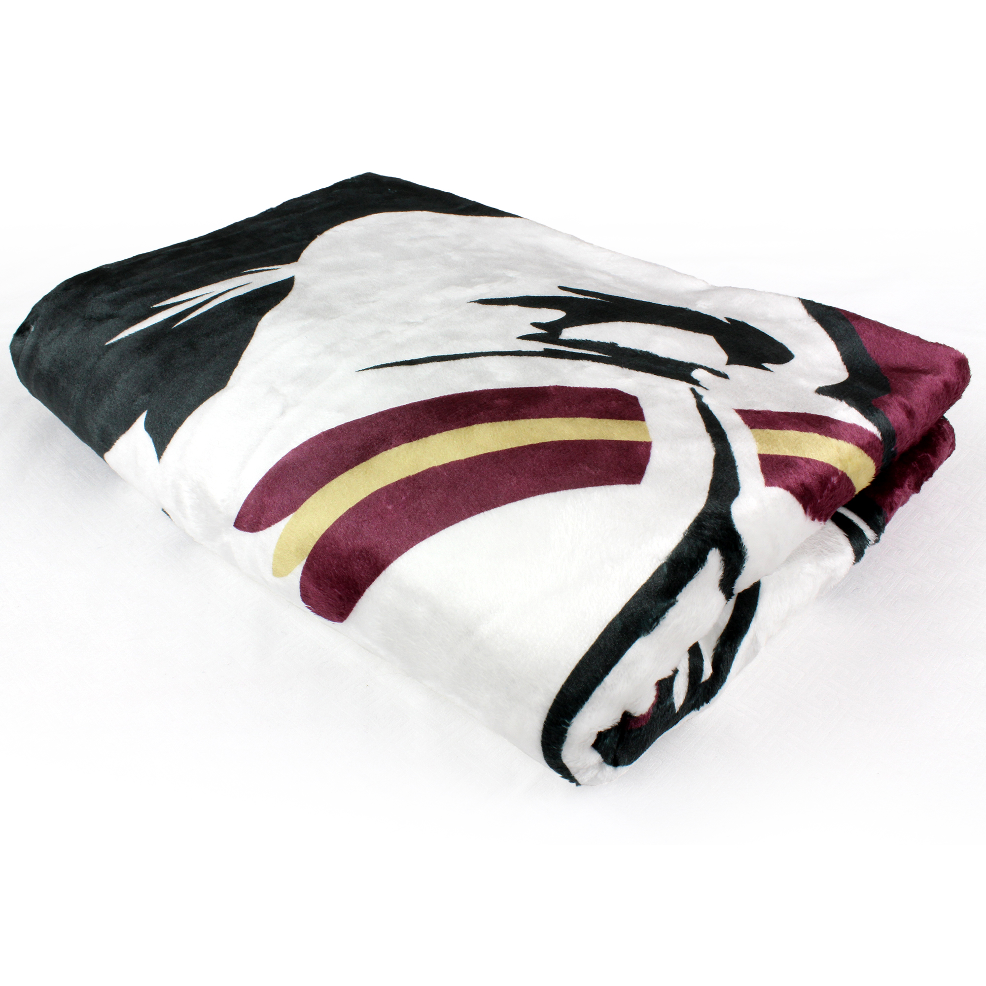 College Covers Florida State Seminoles Sublimated Soft Throw Blanket, 42" x 60" - image 2 of 5
