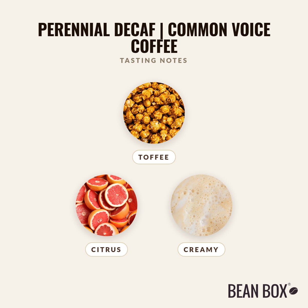 Perennial Decaf Common Voice Coffee - Roasted by 8th & Roast Coffee Co. - Whole Bean Coffee - 2lb Bag