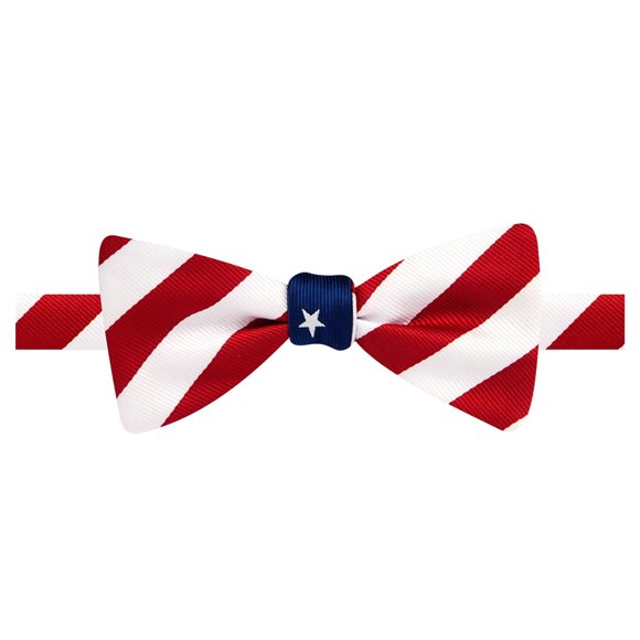 Ryan Seacrest Mens Patriotic Self-tied Bow Tie, Red, One Size