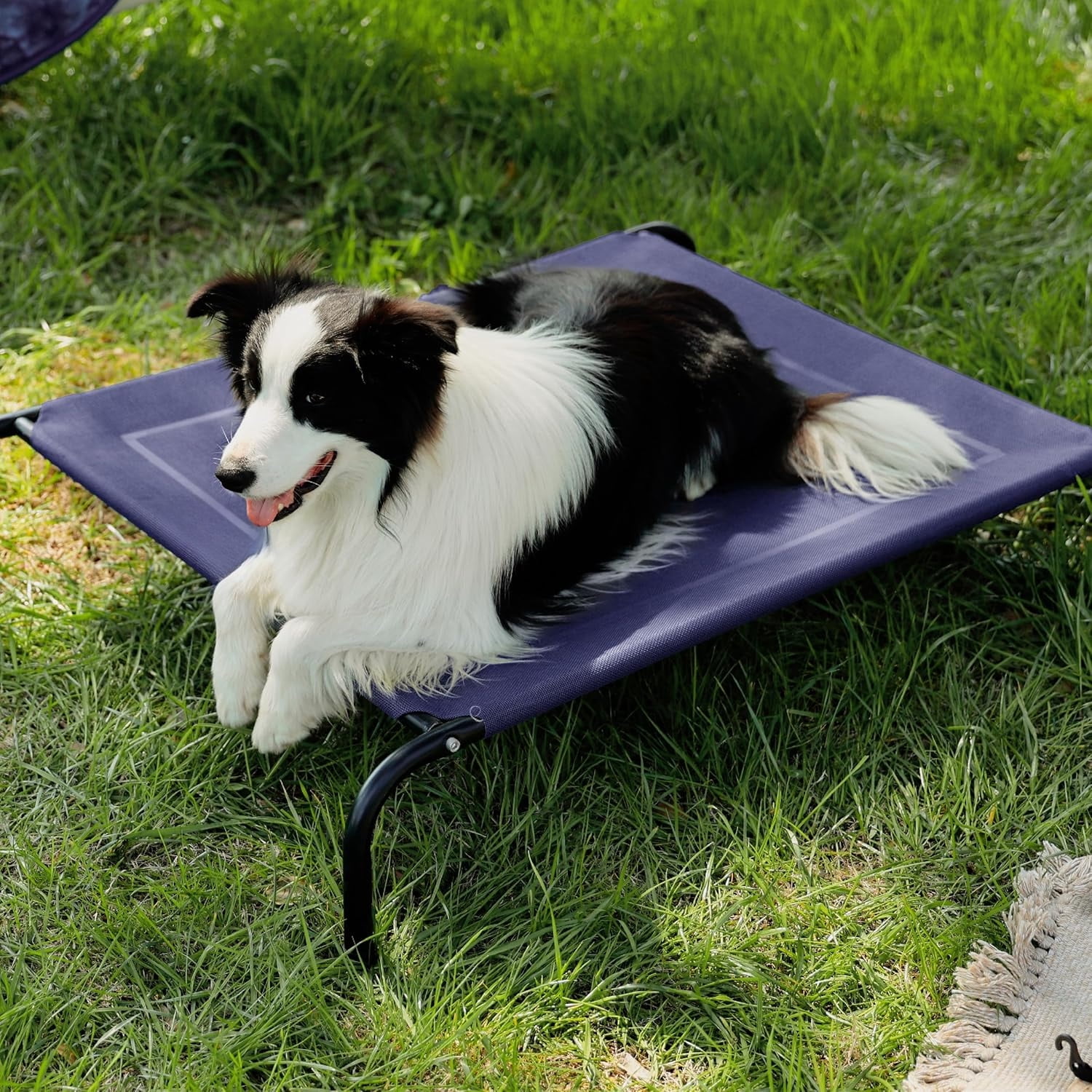 Outdoor Elevated Dog Bed Large Sized Dog, Portable Indoor & Outdoor Cooling Raised Cot Pet Hammock Bed with Skid-Resistant Feet, Frame with Breathable Mesh