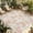 Pink, variant on Pink Flowers Outdoor Rug for Patio/Deck/Porch, Non-Slip Large Area Rug 4 x 6 Ft, Country Botanical Floral Leaves Romantic Indoor Outdoor Rugs Washable Area Rugs, Reversible Camping Rug Carpet Runner