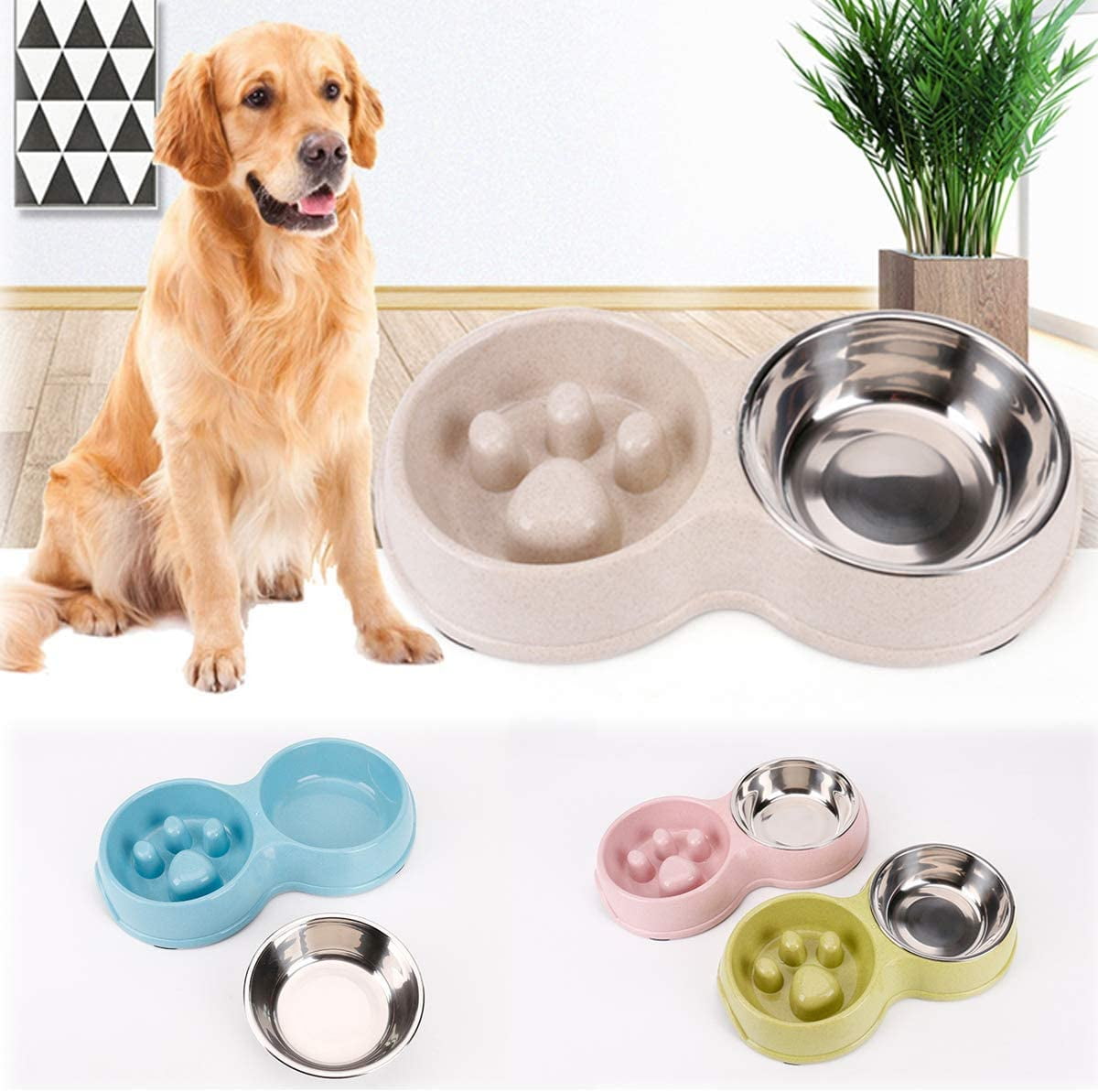 fun dog bowls