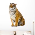 thumbnail image 1 of Sitting Tiger Wall Decal by Wallmonkeys Peel and Stick Graphic (36 in H x 36 in W) WM279955, 1 of 4