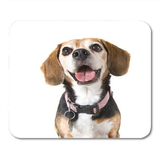 SIDONKU Dog Cute Beagle Looking at The Camera Happy Collar Face Smile Puppy  Mutt Mouth Mousepad Mouse Pad Mouse Mat 9x10 inch 