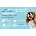 thumbnail image 6 of Liquid-Vet Teeth Gums Tartar Breath Oral Dental Health Supplement for Dogs, Bacon, 16 oz., 6 of 10