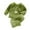 2-Green, variant on 2025 Puawkoer Girl pajamas 1PC top + 1PC pants Solid Color 24 Month Pajamas Girls Baby Clothes Newborn Sleepers Best Gifts for New Baby Girl 12-18 Month Girl Clothes Boys And Girls' Flannel Long Slee