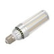thumbnail image 1 of Labymos Bombilla de maíz LED Bombillas de, 1 of 8