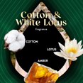thumbnail image 4 of Recambio de aceite perfumado Air Wick, algodón vibrante y loto blanco, 4 unidades, 4 of 9