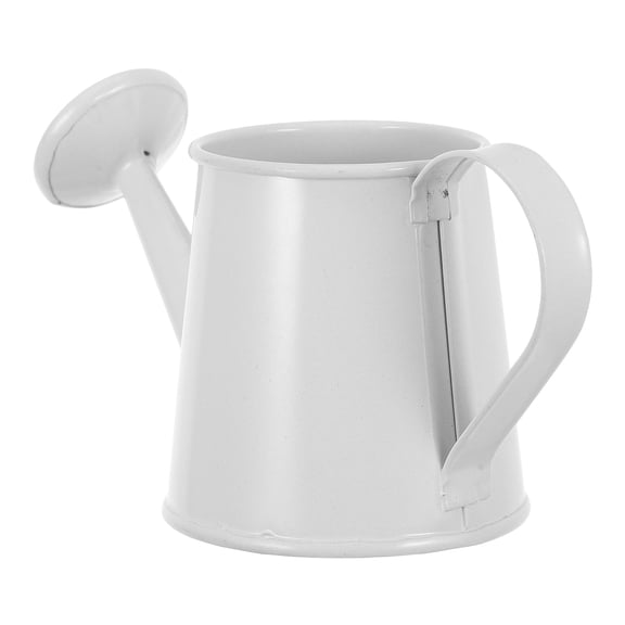 FENGGUIQU Cute Watering Can for Indoor Plants White Metal Watering Tool 1Set