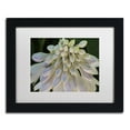 thumbnail image 2 of Trademark Fine Art "Hosta Flower Abstract" Canvas Art by Kurt Shaffer White Matte, Black Frame, 2 of 4