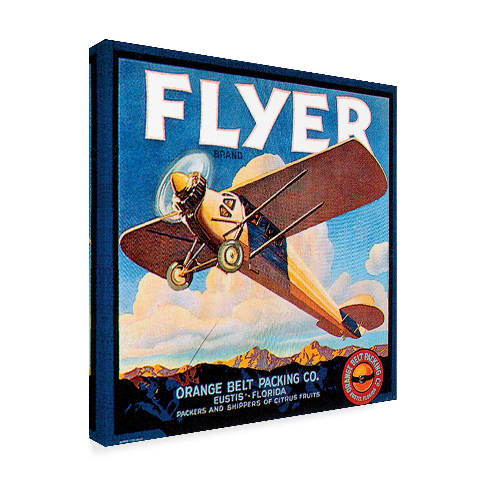 Trademark Fine Art 'Flyer' Canvas Art by Vision Studio