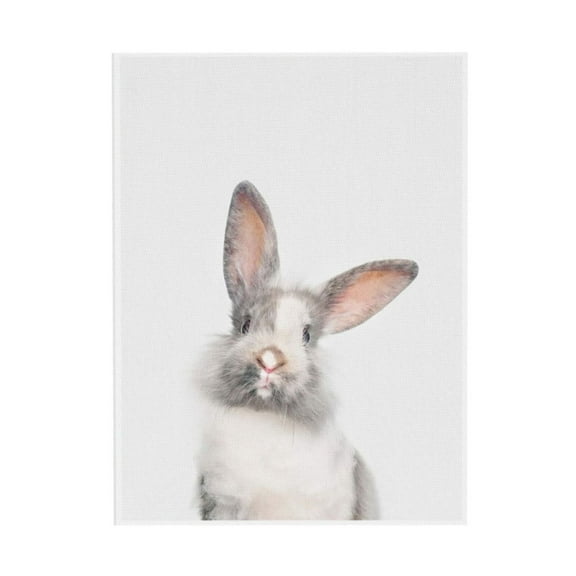 WFSposter Baby Bunny Rabbit Animal Print Portrait Framed Canvas Wall Art by Peterson for Child in Bedroom Home Decoration
