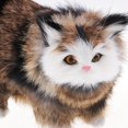 thumbnail image 3 of Muñeca de simulación animal Gato Macarena gris, 3 of 8