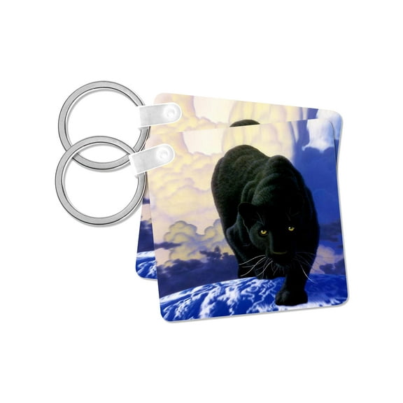 3dRose, Black Panther, set of 2 Key Chains