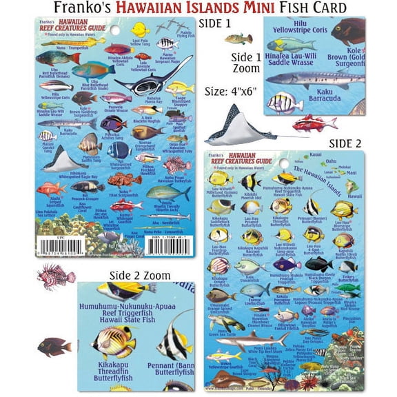 Franko Maps - Mini Hawaiian Reef Fish ID