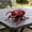 Red, variant on TOUMENY Realistic Interactive Insect Collection, Shaking Head Tail Movements Educational Insect Figures for Biology Learning, Small Plastic Beetle Model for Indoor Outdoor Play Halloween Party, Gold