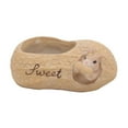 thumbnail image 2 of koolsoo Cartoon Squirrel Cactus Plant Pot, Resin Flower Pot Container Planter, Peanut, 2 of 9