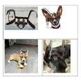 thumbnail image 6 of Durable Pet Ear Stand up Support, Ear with Tape, Adjustable Ear Sticker for Puppy, Small Medium Large Dogs, German XL, 6 of 7
