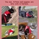 thumbnail image 4 of Arnés y correa transpirables para gatos, ropa a prueba de fugas, chaleco ajustable y reflectante para cachorros y gatitos (rojo, S), 4 of 6