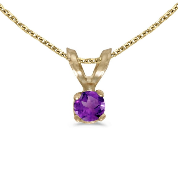 10k Yellow Gold Round Amethyst Pendant with 16" Chain