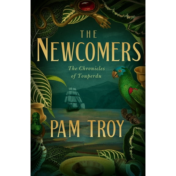 Chronicles of Touperdu The Newcomers: The Chronicles of Touperdu, Book I, Book 1, (Paperback)