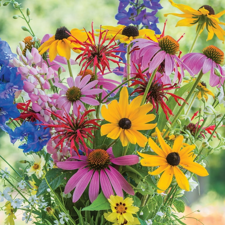 Burpee Cutting Mix Wildflower Flower Seed, 1-Pack