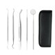 thumbnail image 1 of Juego de herramientas para el cuidado dental CHAO Kit de higiene dental de acero inoxidable 5 piezas, 1 of 5